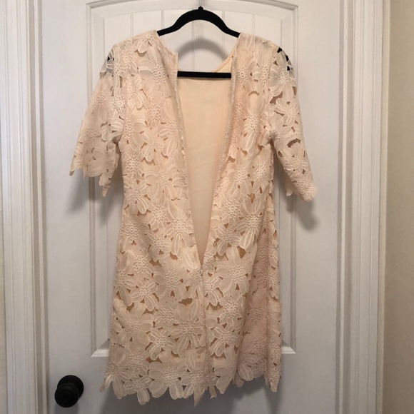 Forever 21 - Blush Lace Dress - Picture 8 of 13
